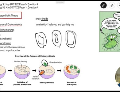 How to Ace Your IB Biology Exams Using IB Biology Past Papers